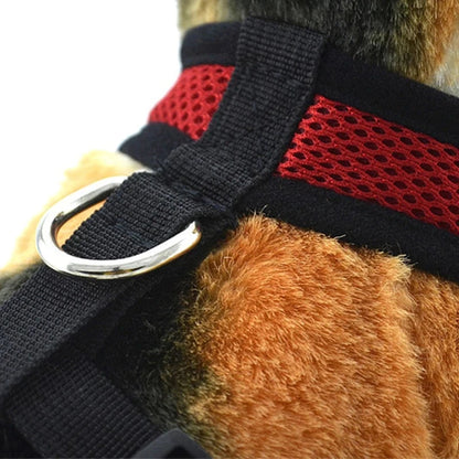 Breathable Mesh Dog Harness – Comfort, Style & Safety for Your Pup