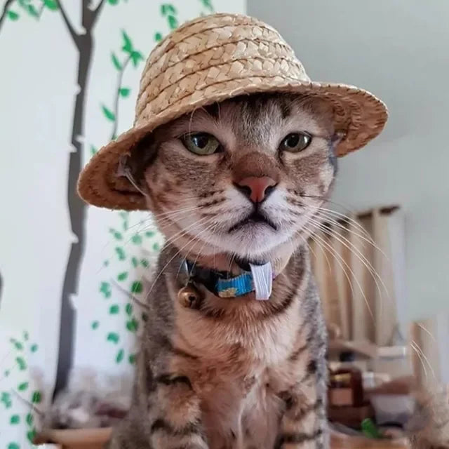 Straw Pet Hat – Perfect for Hawaiian Parties, Sun Protection & Stylish Cosplay