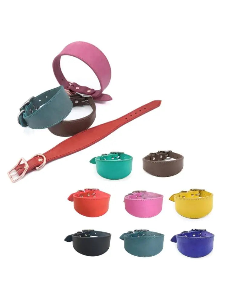Premium Leather Dog Collar – Stylish, Comfortable & Designed for Sighthounds