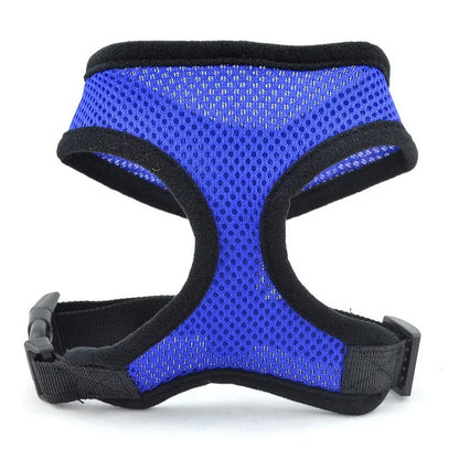 Breathable Mesh Dog Harness – Comfort, Style & Safety for Your Pup