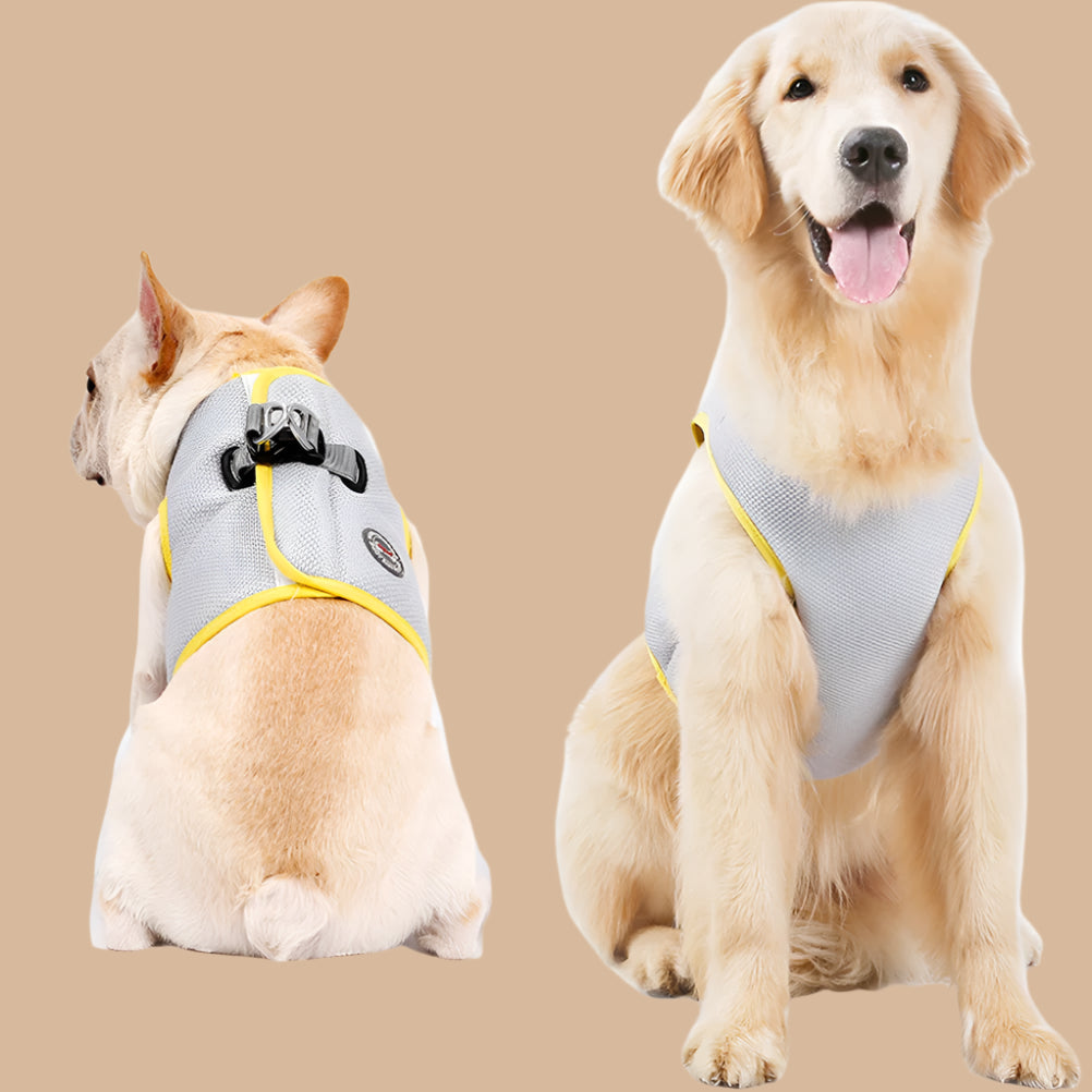 Summer Breeze Cooling Vest: Stylish Comfort for Your Pup's Hot-Weather Adventures!