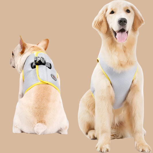 Summer Breeze Cooling Vest: Stylish Comfort for Your Pup's Hot-Weather Adventures!