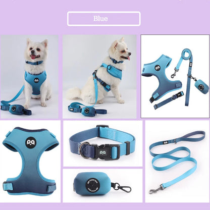 Adjustable Mesh Pet Harness & Leash Set – Vibrant Colors
