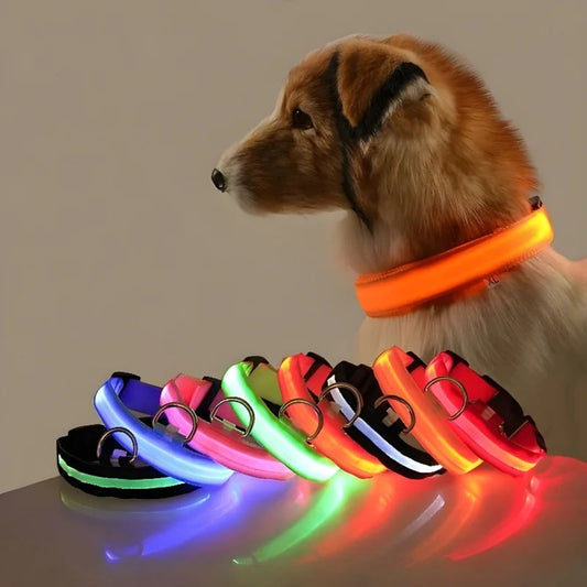 Glow-in-the-Dark LED Dog Collar & Leash – Night Safety for Your Luminous Pet