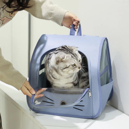 Springtime Wanderlust Pet Backpack: Stylish & Breezy Travel Backpack for Cats and Small Dogs