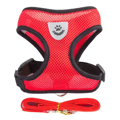 Adjustable Reflective Cat Harness & Leash Set – Soft Mesh for Cats and Small Dogs