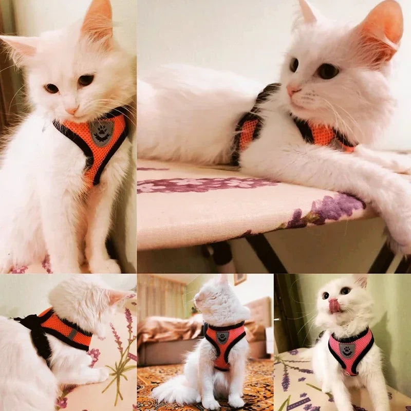 Adjustable Reflective Cat Harness & Leash Set – Soft Mesh for Cats and Small Dogs
