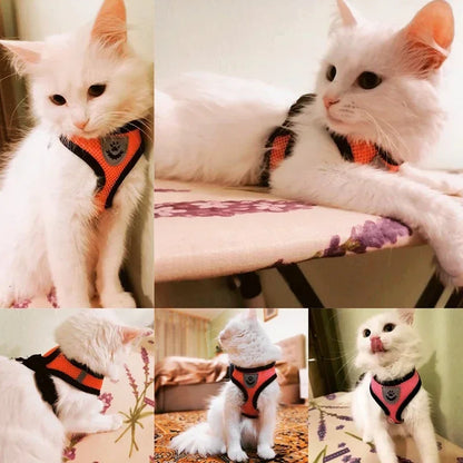 Adjustable Reflective Cat Harness & Leash Set – Soft Mesh for Cats and Small Dogs