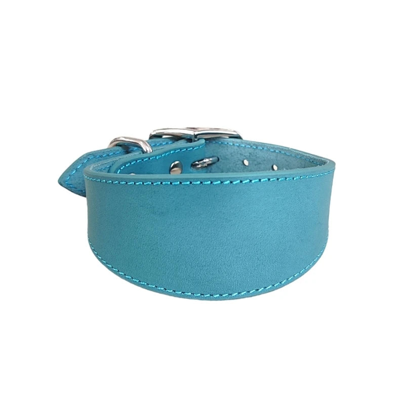 Premium Leather Dog Collar – Stylish, Comfortable & Designed for Sighthounds