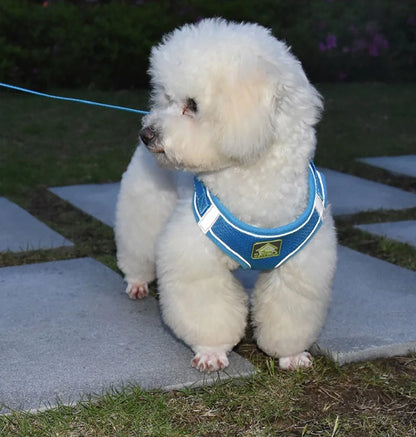 Reflective Cat Harness & Leash Set- Breathable Mesh, Vibrant Colours