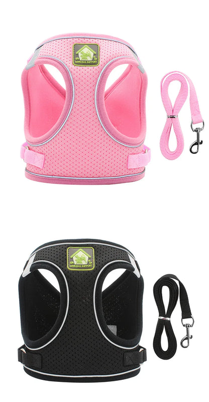 Reflective Cat Harness & Leash Set- Breathable Mesh, Vibrant Colours