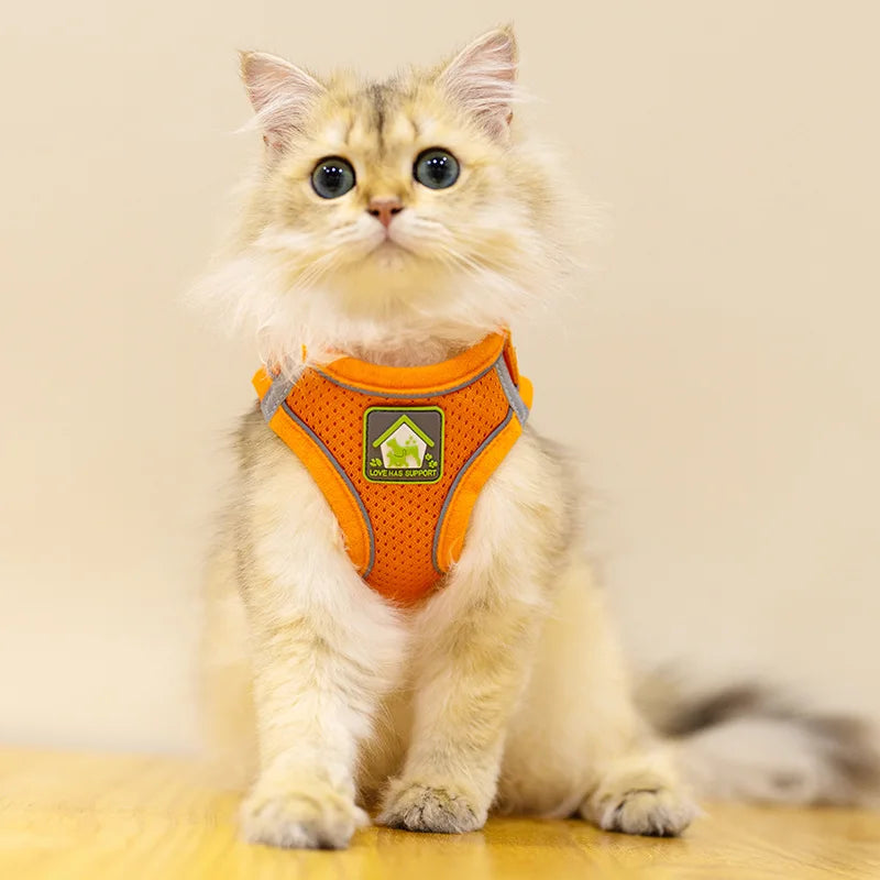 Reflective Cat Harness & Leash Set- Breathable Mesh, Vibrant Colours