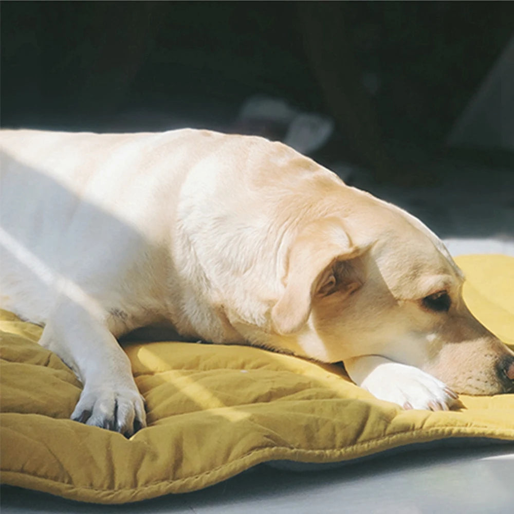 Leaf-Shaped Pet Bed Mat – Cozy, Stylish & Perfect for Every Pet