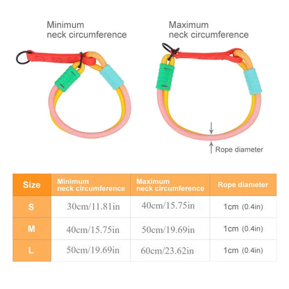 Bold Dog Collar – Stylish, Lightweight