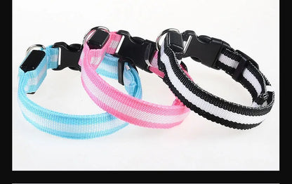 Glow-in-the-Dark LED Dog Collar & Leash – Night Safety for Your Luminous Pet