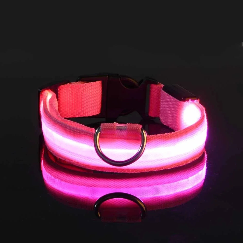Glow-in-the-Dark LED Dog Collar & Leash – Night Safety for Your Luminous Pet