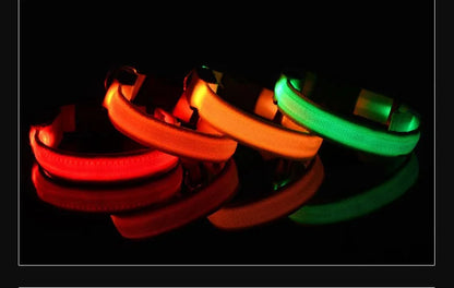 Glow-in-the-Dark LED Dog Collar & Leash – Night Safety for Your Luminous Pet