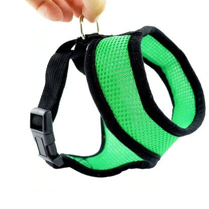 Breathable Mesh Dog Harness – Comfort, Style & Safety for Your Pup