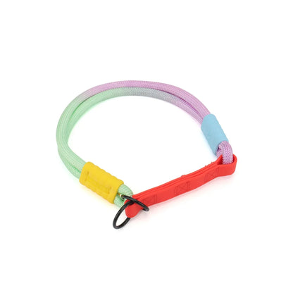 Bold Dog Collar – Stylish, Lightweight