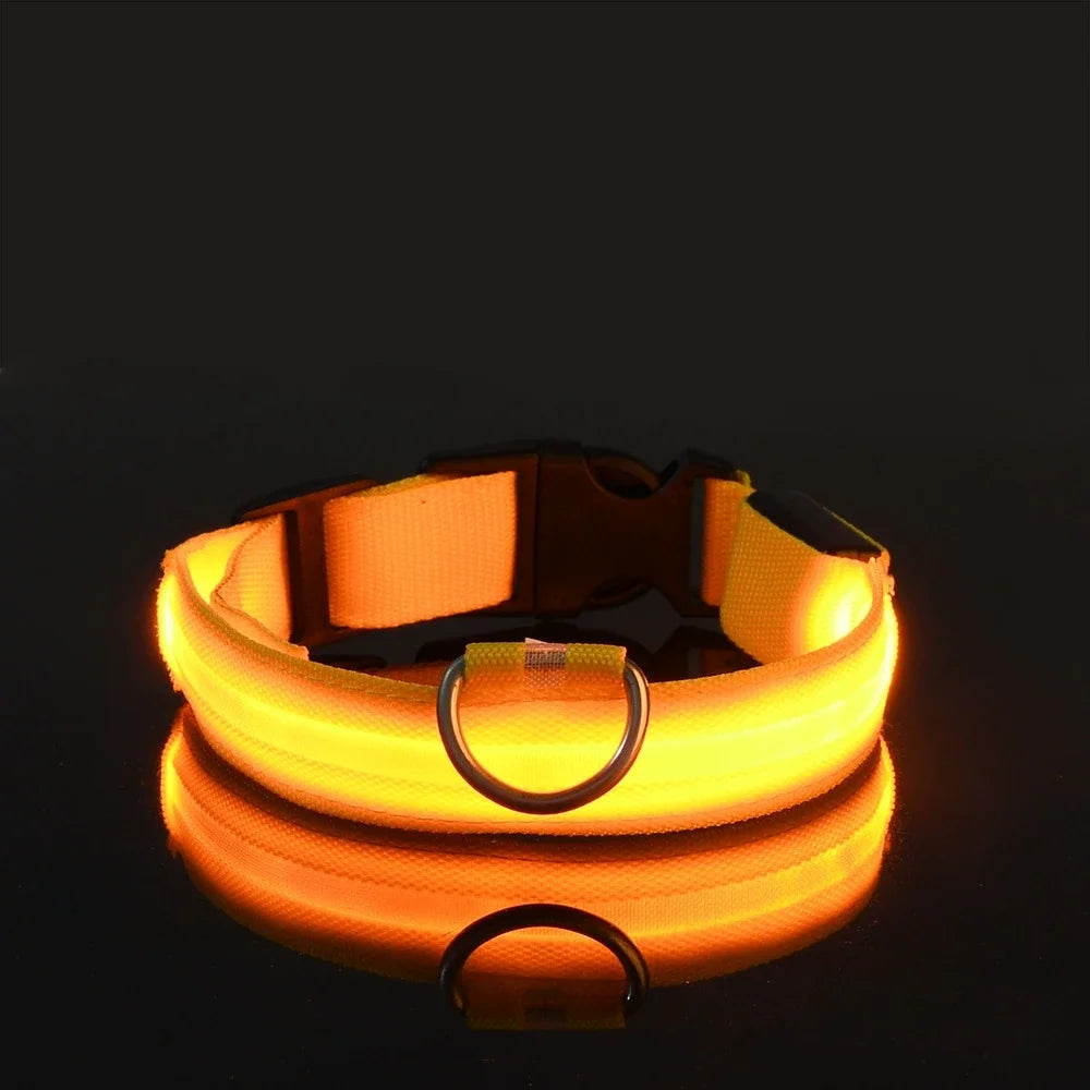 Glow-in-the-Dark LED Dog Collar & Leash – Night Safety for Your Luminous Pet