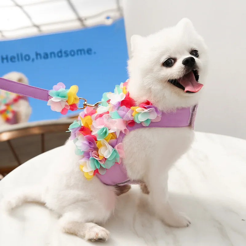 Floral Pet Dog Harness & Leash Set – For Small Cats and Dogs
