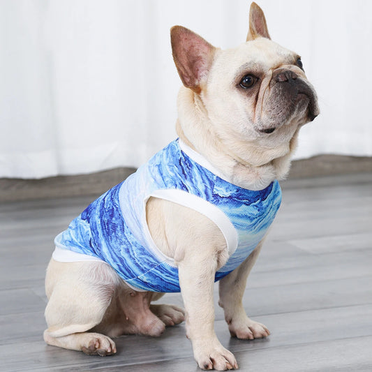 Chill Paws Vest: Instant Cooling Gear for Dogs to Beat the Summer Heat!-Different designs
