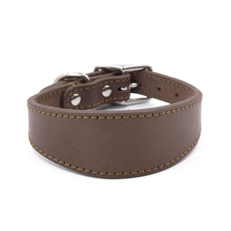 Premium Leather Dog Collar – Stylish, Comfortable & Designed for Sighthounds