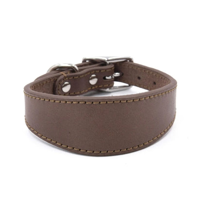 Premium Leather Dog Collar – Stylish, Comfortable & Designed for Sighthounds