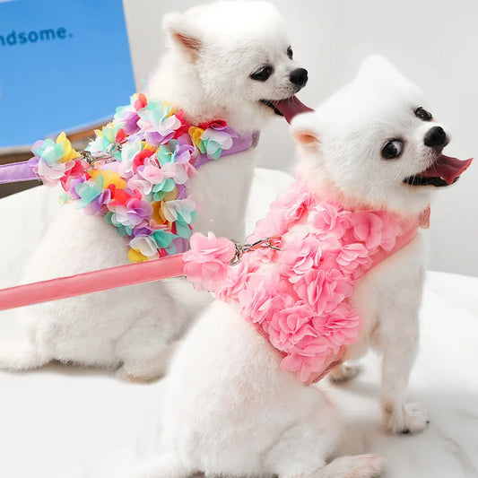Floral Pet Dog Harness & Leash Set – For Small Cats and Dogs