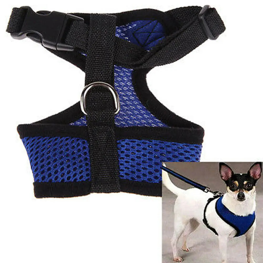 Breathable Mesh Dog Harness – Comfort, Style & Safety for Your Pup