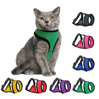 Breathable Mesh Dog Harness – Comfort, Style & Safety for Your Pup
