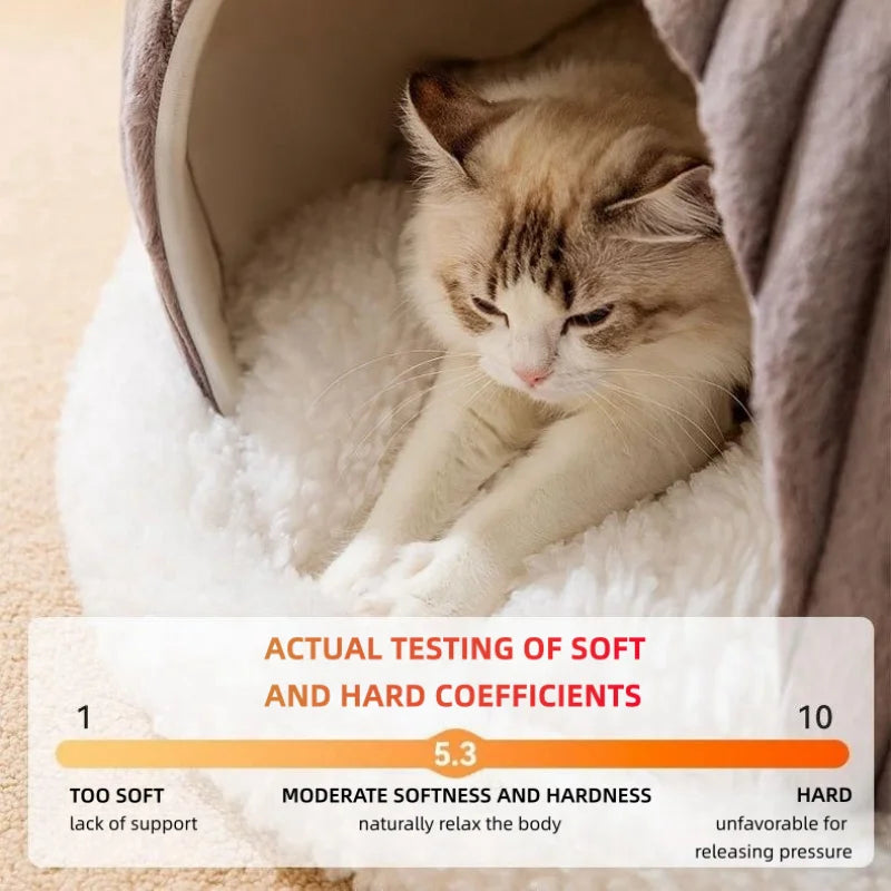Enchanted Forest – The Cheerful Dog/ Cat Ultimate Dreamy House!