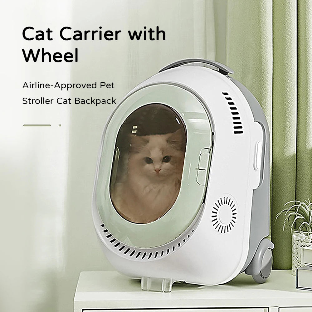 Perfect Travel Buddy – The Pet Carrier Suitcase- Airline Approved