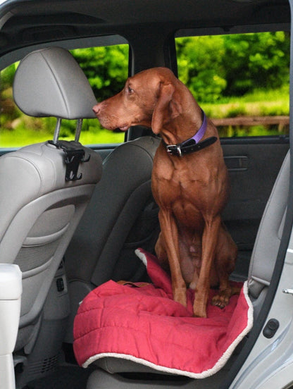 Roll up Travel Dog Mat (Water-Repellent & Machine Washable)- For Happy Travels!
